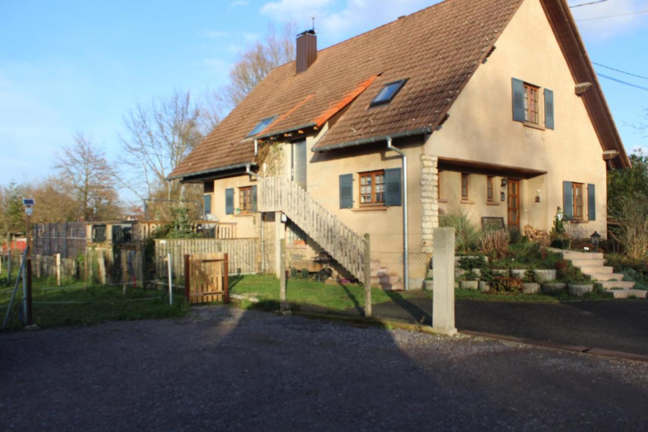 Gites Riviere Et Colline Niedermodern Экстерьер фото